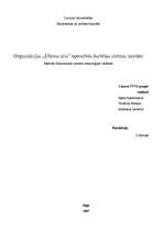 Referāts 'Organizācijas „Užavas alus” operatīvās darbības shēmas izstrāde', 2.