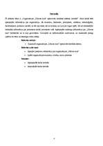 Referāts 'Organizācijas „Užavas alus” operatīvās darbības shēmas izstrāde', 4.