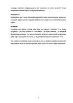 Referāts 'Organizācijas „Užavas alus” operatīvās darbības shēmas izstrāde', 14.