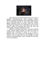 Eseja 'Recenzija par Raimonda Paula muzikālo vakaru "Gan jau atvērsies sirds..."', 3.