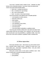 Referāts 'Stiprā alkoholiskā dzēriena "Brendijs Spartaks" ceha projekts', 13.