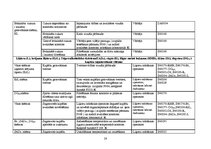 Referāts 'Stiprā alkoholiskā dzēriena "Brendijs Spartaks" ceha projekts', 28.