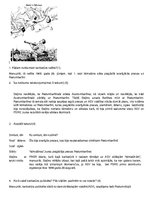 Konspekts 'Karikatūru raksturojums', 4.