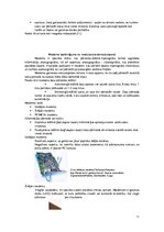 Referāts 'Kopnes paplašinājumi, plates', 11.