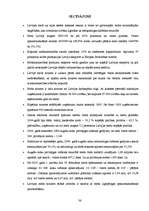 Referāts 'Meža nozares attīstība un loma Latvijas tautsaimniecībā', 36.