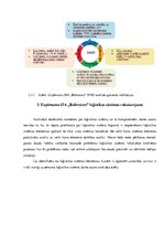 Prakses atskaite 'Uzņēmuma SIA "Baltrotors" loģistikas sistēmas raksturojums', 23.