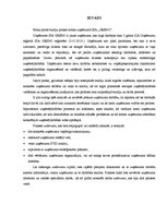 Prakses atskaite 'Prakses atskaite', 2.