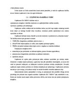 Prakses atskaite 'Prakses atskaite', 4.