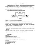 Prakses atskaite 'Prakses atskaite', 5.