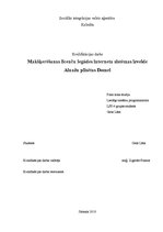 Diplomdarbs 'Makšķerēšanas licenču iegādes interneta sistēmas izveide Ainažu pilsētas domei', 1.