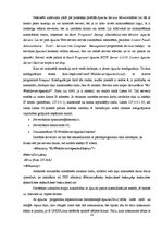 Diplomdarbs 'Makšķerēšanas licenču iegādes interneta sistēmas izveide Ainažu pilsētas domei', 18.