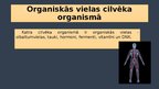 Prezentācija 'Organiskās vielas cilvēka organismā', 3.