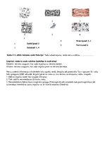 Konspekts 'Audi. Pārbaudes darbs', 3.