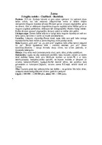 Konspekts 'Žubītes', 13.