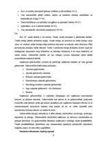 Referāts 'Ieņēmumu analīze SIA "X"', 9.