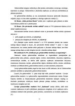 Referāts 'Ieņēmumu analīze SIA "X"', 11.