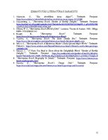 Referāts 'Hieronima Bosa glezniecības īpašais raksturs, tēlu pasaule un izteiksmes veids', 12.