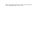 Eseja 'Vecmāšu profesijas izveide Latvijā', 3.