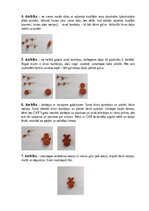 Paraugs 'Pirmsskolas speciālā pedagoģija', 3.