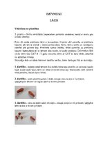 Paraugs 'Studiju kurss “Pirmsskolas speciālā pedagoģija” Praktiskais darbs
Pašizpausme m', 2.