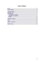 Referāts 'Tetovējumi', 2.