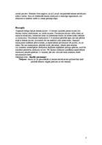 Referāts 'Tetovējumi', 8.