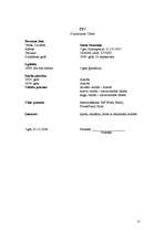 Referāts 'Tetovējumi', 11.