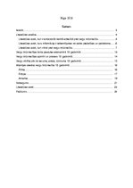 Referāts 'Vergu tirdzniecība 19.gadsimtā', 2.