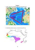 Referāts 'Vergu tirdzniecība 19.gadsimtā', 25.