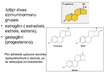 Prezentācija 'Estrogēna un progesterona ietekme uz sievietes veselību', 3.
