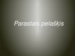 Prezentācija 'Parastais pelašķis', 1.