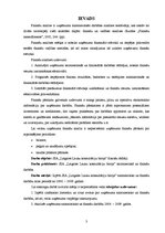 Referāts 'SIA "Latgales lauku konsultāciju birojs" finanšu analīze', 3.