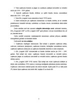 Referāts 'SIA "Latgales lauku konsultāciju birojs" finanšu analīze', 4.