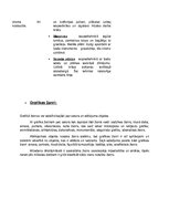 Konspekts 'Tēlotāja māksla', 2.