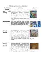 Konspekts 'Tēlotāja māksla', 3.