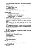 Konspekts 'Komenska devums', 6.