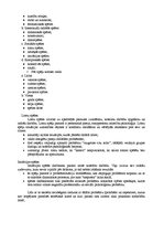 Konspekts 'Komenska devums', 7.