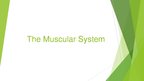 Prezentācija 'The Muscular System', 1.