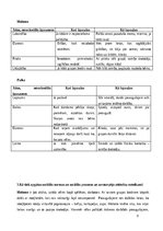 Prakses atskaite 'Agrīnās bērnības pedagoģijas prakse Liepājas Kristīgajā pirmsskolas izglītības i', 9.