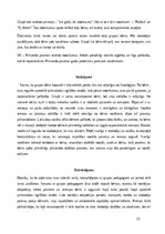 Prakses atskaite 'Agrīnās bērnības pedagoģijas prakse Liepājas Kristīgajā pirmsskolas izglītības i', 13.