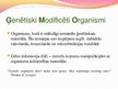 Prezentācija 'Ģenētiski modificēti organismi - kas tie ir un kur tos izmanto', 2.