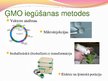Prezentācija 'Ģenētiski modificēti organismi - kas tie ir un kur tos izmanto', 5.