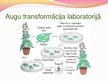 Prezentācija 'Ģenētiski modificēti organismi - kas tie ir un kur tos izmanto', 12.
