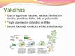 Prezentācija 'Ģenētiski modificēti organismi - kas tie ir un kur tos izmanto', 16.