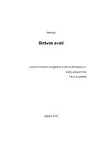Referāts 'Strāvas avoti', 1.