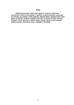 Referāts 'Bērnu krusta gājiens kā viduslaiku reliģiozitātes apliecinājums', 3.