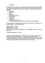 Referāts 'Biroja iekārtojums', 4.