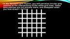 Prezentācija 'Optical Illusion', 10.