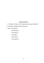 Referāts 'Dabas resursu nodoklis', 17.