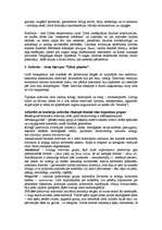 Konspekts 'Zemes vēsture. Paleozojs', 8.